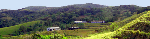 The eco-finca has 5 buildings on it at present, providing a total of 7 habitations for humans and one for horses and a milking shed for cows. 