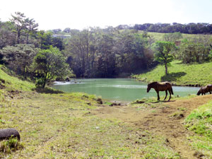 A road passes by the large pond, heading toward the northern part of the 66 acres