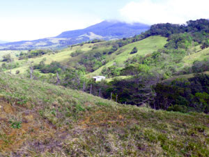 In the center of the photo is the property's fifth building, a cow barn that sits at about the southern edge of the northern 35 acres. 