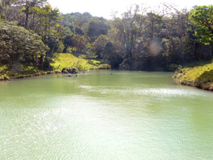 This very large pond is filled with pure water from springs and a stream. 