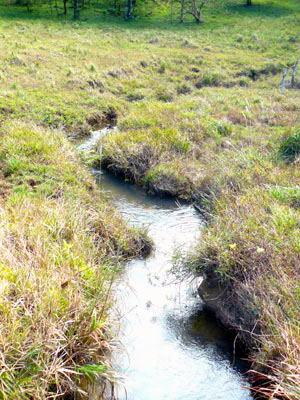 Another stream winds through a field.