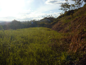 On the other side of the motel is a half-acre lot with a wide level area.