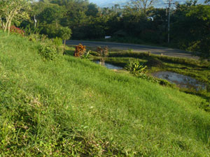 The lot slopes down to the lake highway with a couple of small ponds at the lowest level.