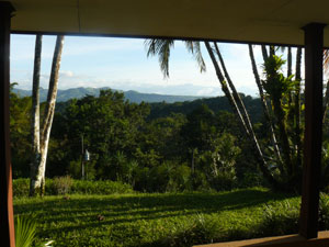 There's a very nice view of forest and mountains from the veranda.