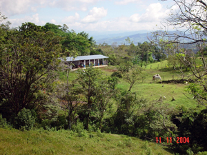 The finca has an excellent stables with 6 stalls.