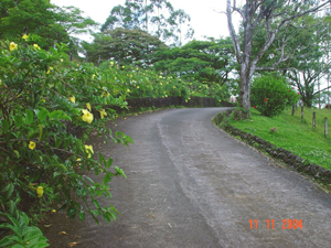 Paved interior roads connected the three houses and other elements.