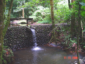 A waterfall through a volanic rock wall produces a beautiful pond, one of the several water features on the estate.