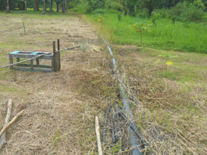 This large pipe carries water from the stream to the ponds.