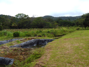 The property extends northward to the treeline visible here. 