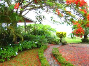 Lodge for sale at Lake Arenal, Costa Rica