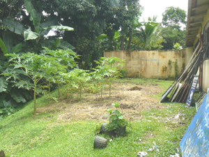 The lot has room fo an additional structure behind the current building.