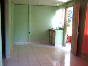 The front house is not currently furnished and occupied but is in good condition.