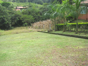 Besides landscaping the property beautifully, the owner, a nurseryman, has made a lawn out of the cul-de-sac road in front of the houses. 