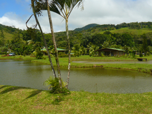 From across the landscaped ponds the home is at the left, the cabina in the center, and the dock at far right.