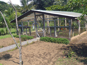 A large greenhouse shelters rows of vegetables.