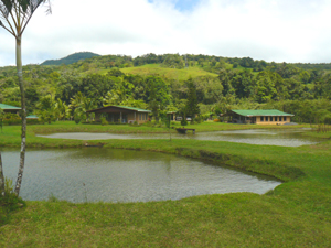 In this view, the home is partly visible at left, the cabina is at the center with the dock in front and the pool building is at the right.