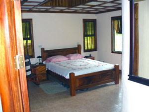 The house has a single large bedroom and bathroom.