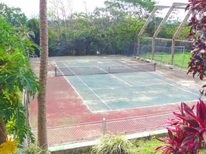 The club has two tennis courts.