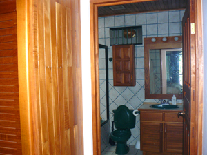 The master bathroom has a glass-enclosed tub and shower.