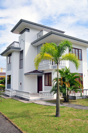 The lot has a fine lawn and nice landscaping with special palm trees.