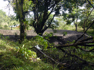 The pond as seen from a trail coming from the stream.