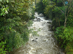 the Rio Agacate below the property surges toward lake Arenal.