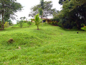 This curving, grassy driveway was a former entrance to the building when it served as a restaurant.