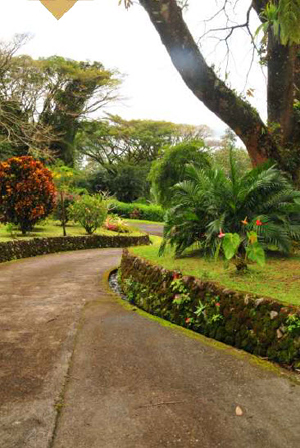 The driveway curves gracefully up from a paved road in Las Flores.