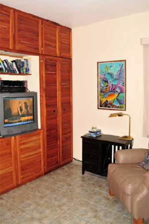 The second ensuite bedroom has beautiful closet wall and built-in entertainment center.