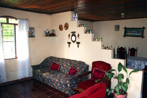 A partial wall separates the living room and dining room.