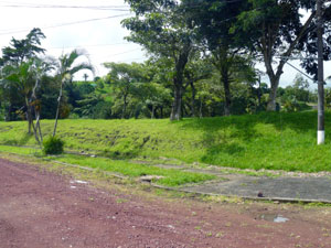 A small park is across the street from the house. 