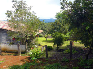 From the back garden there is this view over Tronadora toward Lake Arenal.