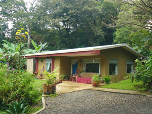 The 3BR home has towering trees behind it and lovely landscaping in front as well as some tall trees on the property.