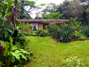 Much of the half-acre is nicely landscaped with a variety of tropical plants and trees.