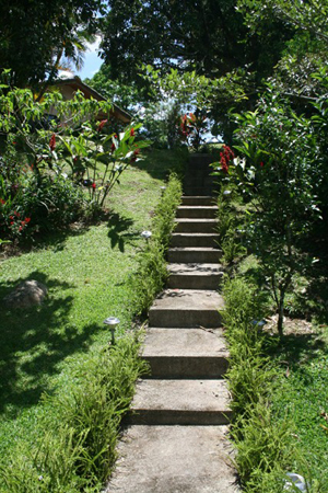 The long set of concrete steps shows the property's nice landscaping.