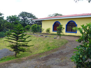 A driveway from an automatic gate leads to the house.