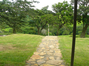 A flagstone walkway comes to the house through the large front yard. 