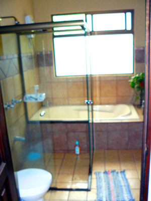 The master bathroom has a nice tub as well as a shower.