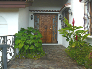 The entrance doors display the fine wood craftsmanship in the home.