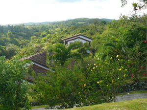 The homes of the neighbors are barely visible through the lush landscaping. 