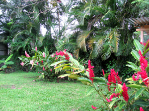 The current owners added many ornamental plants and 15 fruit trees of various types.