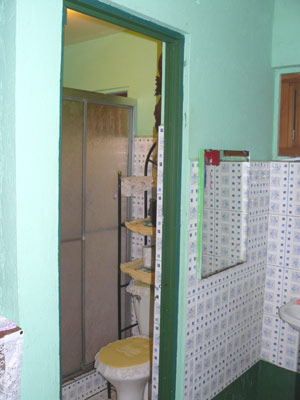 The general bathroom has a shower and toilet and the vanity is in a neighboring alcove. 