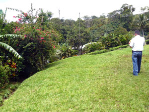 There's a broad lawn between the road and the house. 