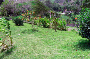 The property fronts on the paved road to the pretty village of Tronadora. 