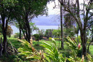 This view is of the lake to the west. 