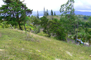 Here's a better view of the Tronadora Road on the other side of which is the Arenal Country Club.