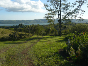 The driveway comes up from the paved lake highway and serves all three sections of the property.