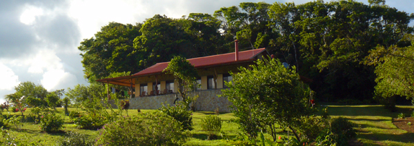 The wonderfully constructed house overlooks beautiful landscaping in front while 2 acres of old-growth forest climb the hillside from the back.