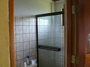 The two bathrooms in the main house and the bathroom in the apartment are up to date with nice tile and glass shower doors.