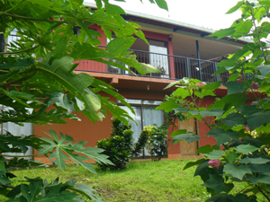 There's a pleasant grassy yard in frnt of the apartment.